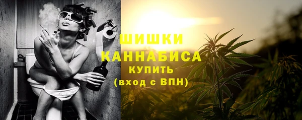 гашик Инсар