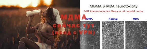 гашик Инсар