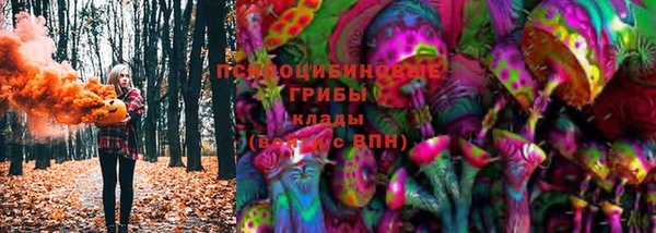 гашик Инсар