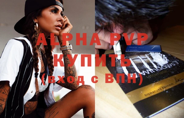 гашик Инсар