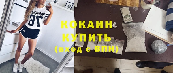 гашик Инсар