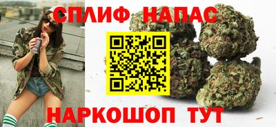 гидра Волгодонск