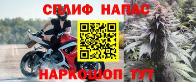 гидра Волгодонск