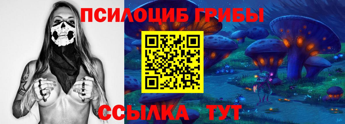 Псилоцибиновые грибы Psilocybine cubensis  Вход с VPN  купить   Серпухов  Галлюциногенные грибы Cubensis 