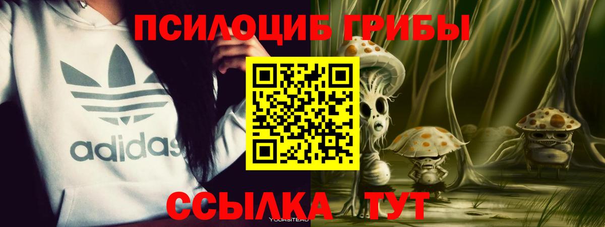Галлюциногенные грибы мухоморы Серпухов
